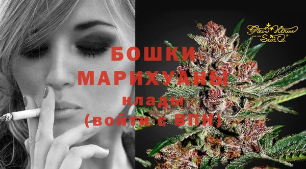 СК Михайлов