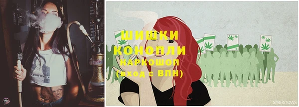 СК Михайлов