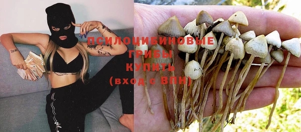 прущий лед Наволоки